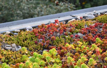 the cost of Gernon Bushes green roof installation