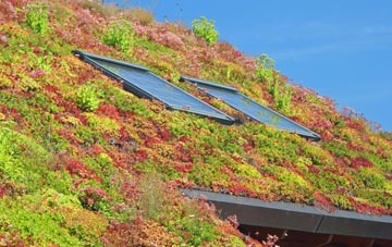 Gernon Bushes living roof systems